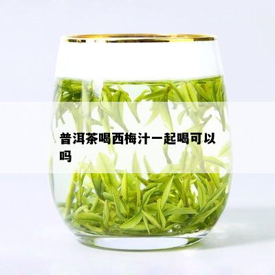 普洱茶喝西梅汁一起喝可以吗