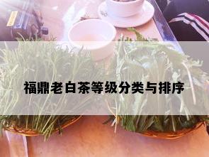 福鼎老白茶等级分类与排序