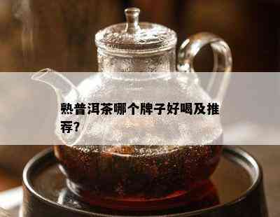 熟普洱茶哪个牌子好喝及推荐？