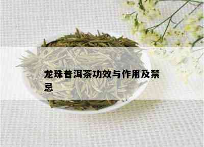 龙珠普洱茶功效与作用及禁忌