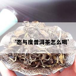 ‘态与度普洱茶怎么喝’