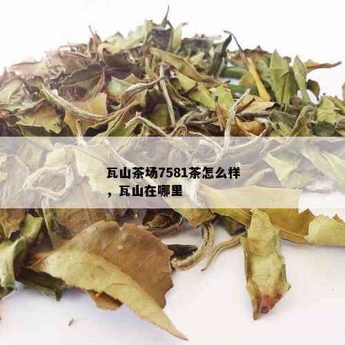 瓦山茶场7581茶怎么样，瓦山在哪里