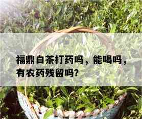 福鼎白茶打药吗，能喝吗，有农药残留吗？