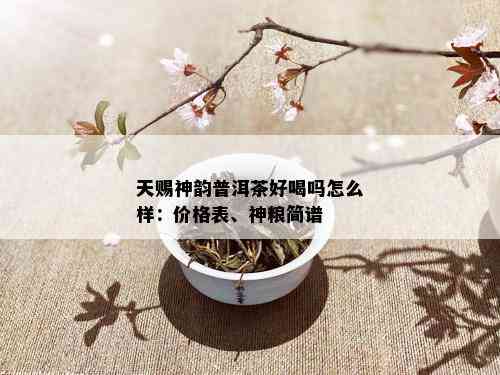 天赐神韵普洱茶好喝吗怎么样：价格表、神粮简谱