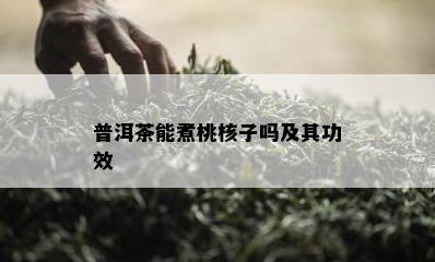 普洱茶能煮桃核子吗及其功效