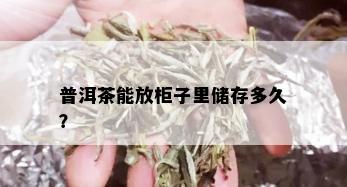 普洱茶能放柜子里储存多久？