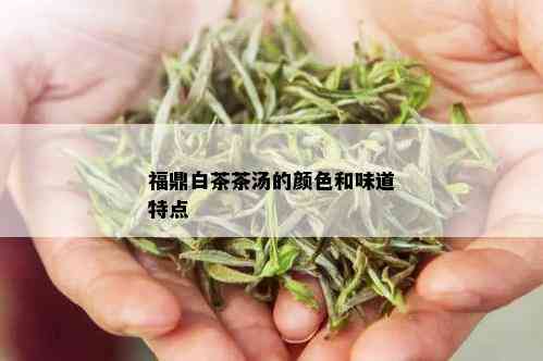 福鼎白茶茶汤的颜色和味道特点