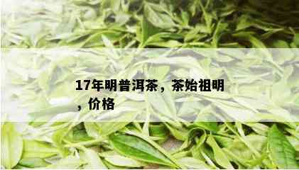 17年明普洱茶，茶始祖明，价格