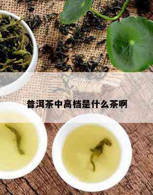 普洱茶中高档是什么茶啊