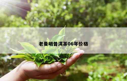 老曼峨普洱茶06年价格