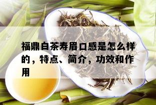 福鼎白茶寿眉口感是怎么样的，特点、简介，功效和作用