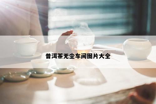 普洱茶无尘车间图片大全