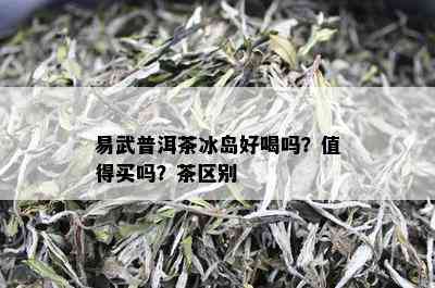 易武普洱茶冰岛好喝吗？值得买吗？茶区别