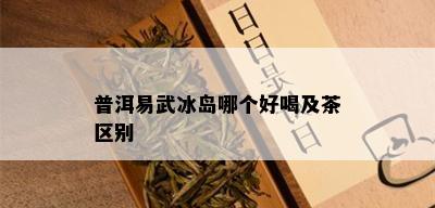 普洱易武冰岛哪个好喝及茶区别