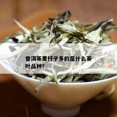 普洱茶里杆子多的是什么茶叶品种？