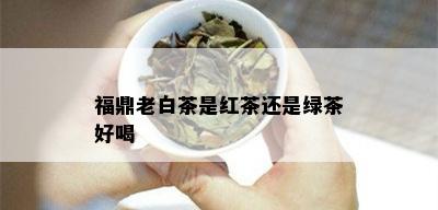 福鼎老白茶是红茶还是绿茶好喝