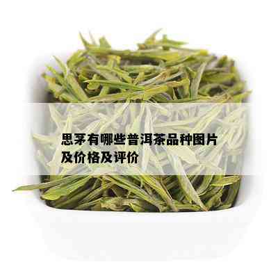 思茅有哪些普洱茶品种图片及价格及评价