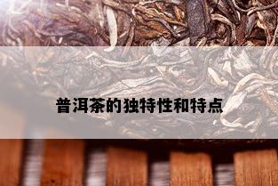 普洱茶的独特性和特点