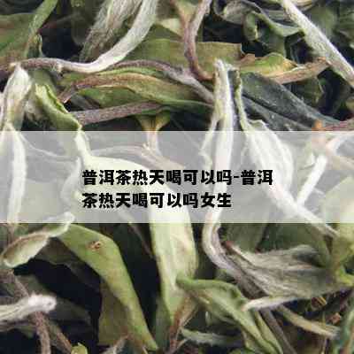 普洱茶热天喝可以吗-普洱茶热天喝可以吗女生