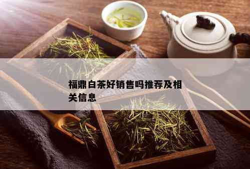 福鼎白茶好销售吗推荐及相关信息