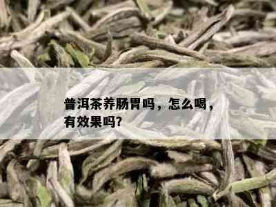 普洱茶养肠胃吗，怎么喝，有效果吗？