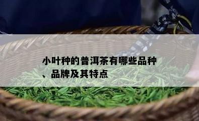 小叶种的普洱茶有哪些品种、品牌及其特点