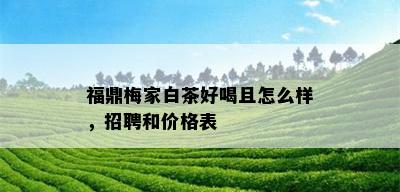 福鼎梅家白茶好喝且怎么样，招聘和价格表