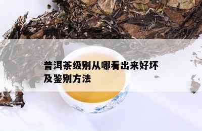 普洱茶级别从哪看出来好坏及鉴别方法