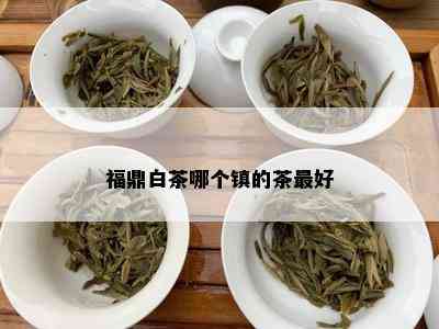 福鼎白茶哪个镇的茶更好