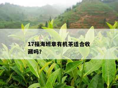 17福海班章有机茶适合收藏吗？