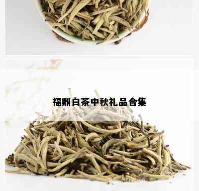 福鼎白茶中秋礼品合集