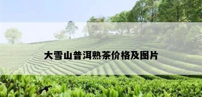 大雪山普洱熟茶价格及图片