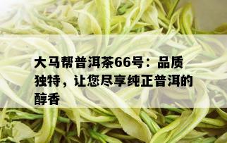 大马帮普洱茶66号：品质独特，让您尽享纯正普洱的醇香