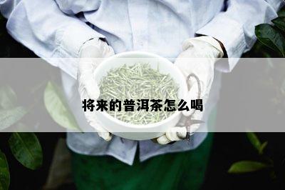 将来的普洱茶怎么喝