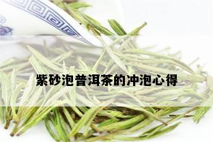 紫砂泡普洱茶的冲泡心得