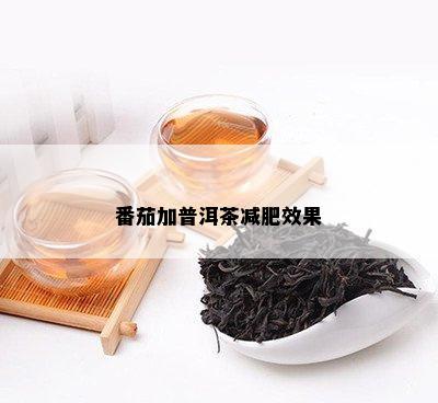 番茄加普洱茶减肥效果