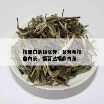 福鼎白茶福茗芳，茗芳苑福鼎白茶，福茗达福鼎白茶