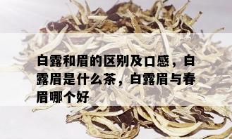 白露和眉的区别及口感，白露眉是什么茶，白露眉与春眉哪个好