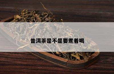 普洱茶是不是要煮着喝