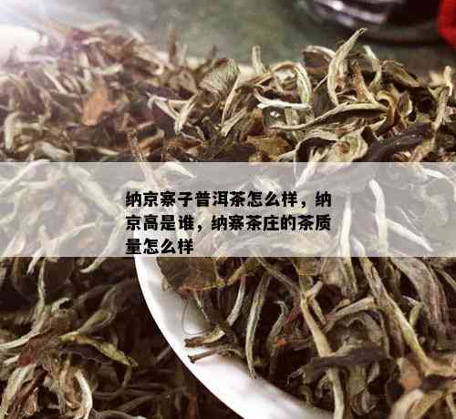 纳京寨子普洱茶怎么样，纳京高是谁，纳寨茶庄的茶质量怎么样