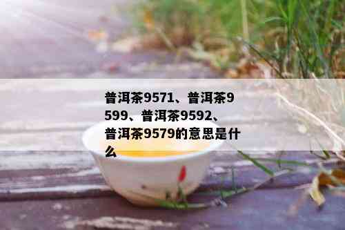 普洱茶9571、普洱茶9599、普洱茶9592、普洱茶9579的意思是什么