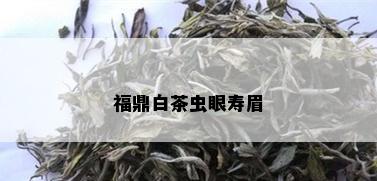 福鼎白茶虫眼寿眉