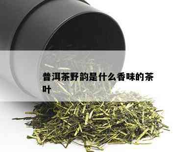 普洱茶野韵是什么香味的茶叶