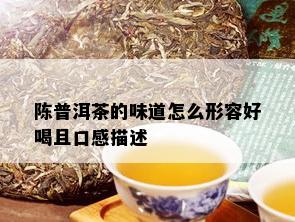 陈普洱茶的味道怎么形容好喝且口感描述