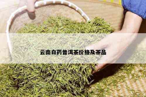 云南白药普洱茶价格及茶品