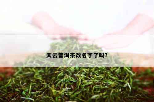 天云普洱茶改名字了吗？