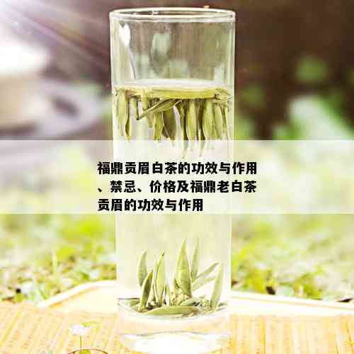 福鼎贡眉白茶的功效与作用、禁忌、价格及福鼎老白茶贡眉的功效与作用