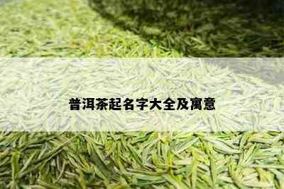 普洱茶起名字大全及寓意