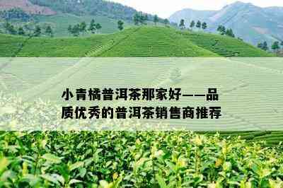 小青橘普洱茶那家好——品质优秀的普洱茶销售商推荐