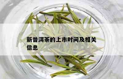 新普洱茶的上市时间及相关信息